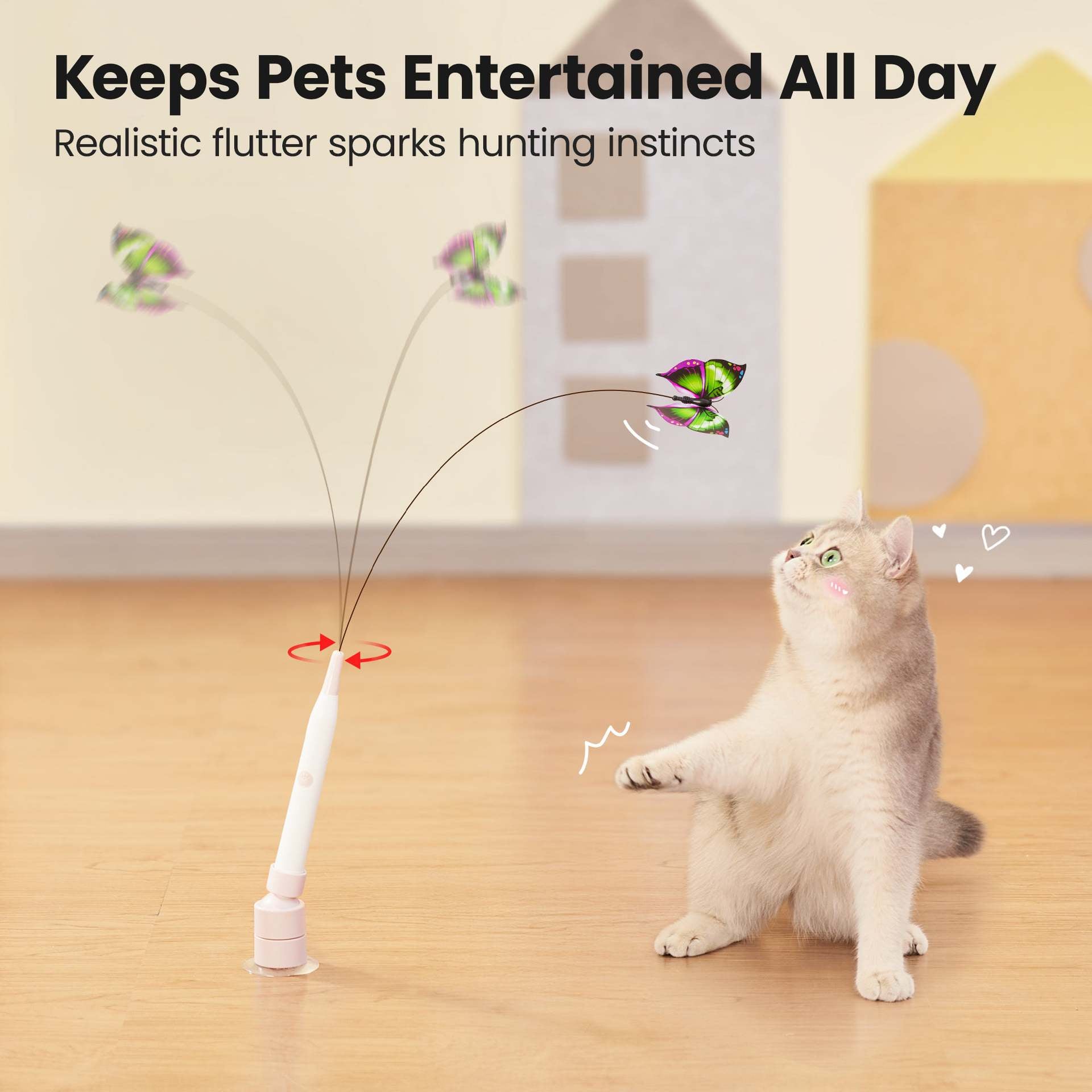 Automatic Cat Ball™
